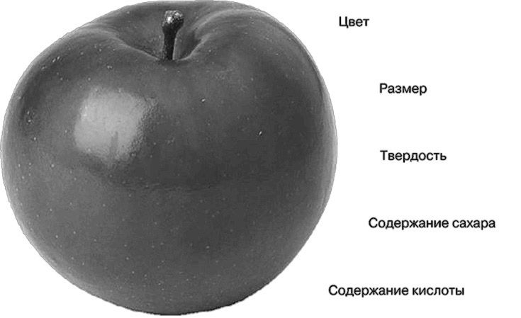 свойства яблока